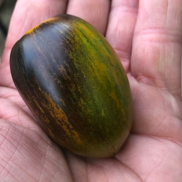 🫧🍄L.  I.  V.  E.🍄🫧 - Picture 7 of 9